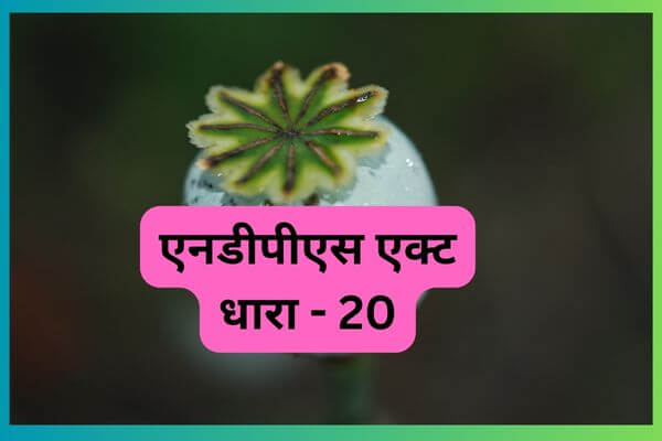 20-20-ndps-act-in-hindi